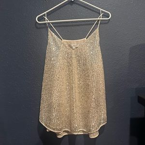 Silver on Rose sequin top
